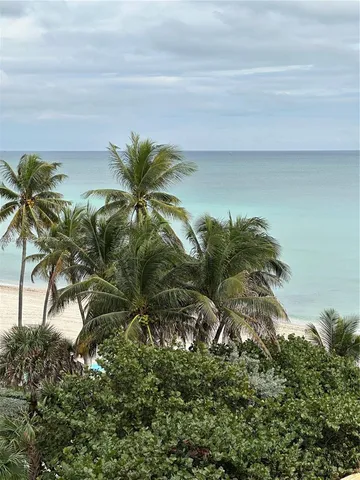 a view of a plant in a field