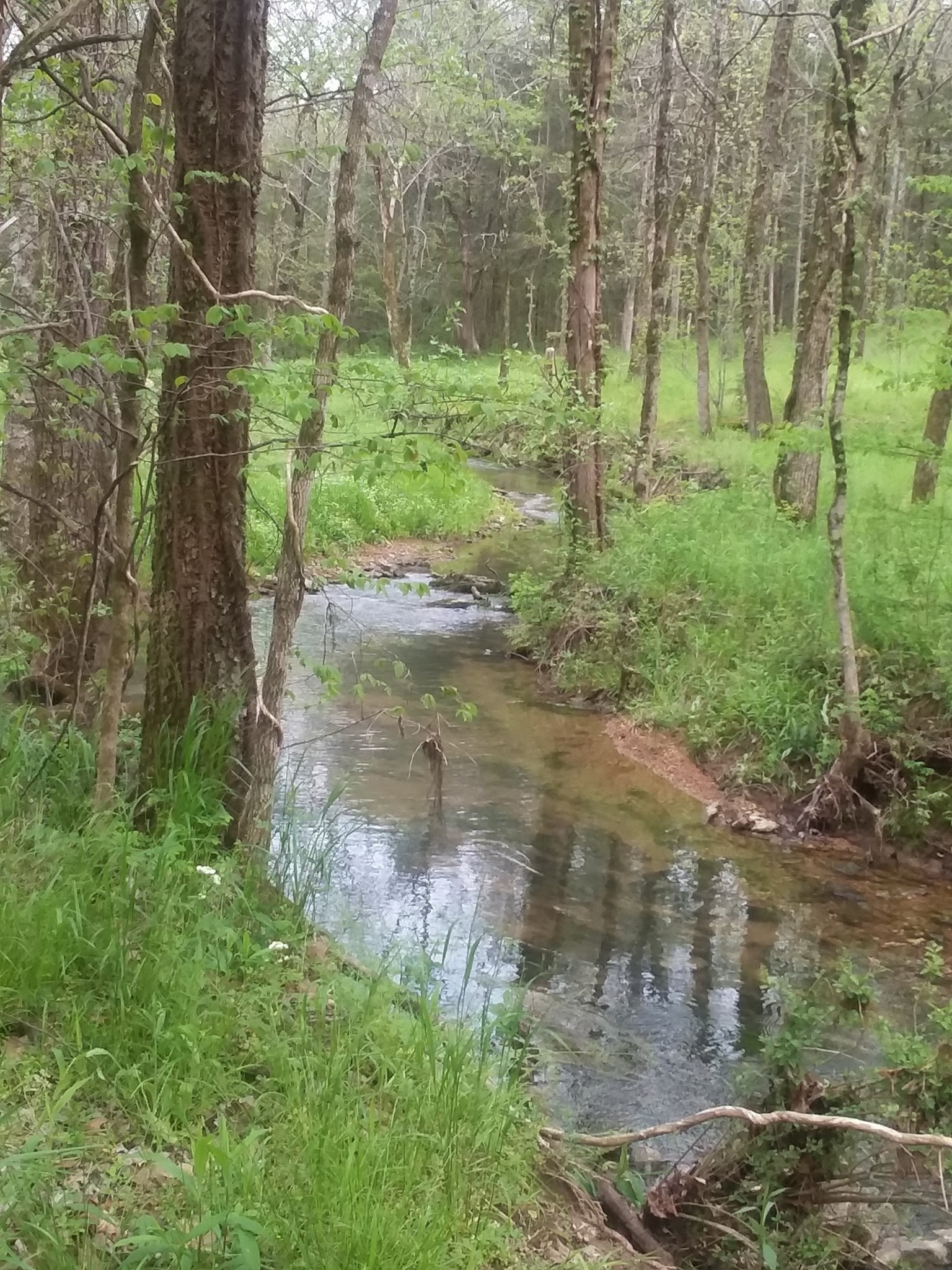 2844 Scribners Mill Road Culleoka, TN 38451 - Photo 2 of 21 Gallery Image 2