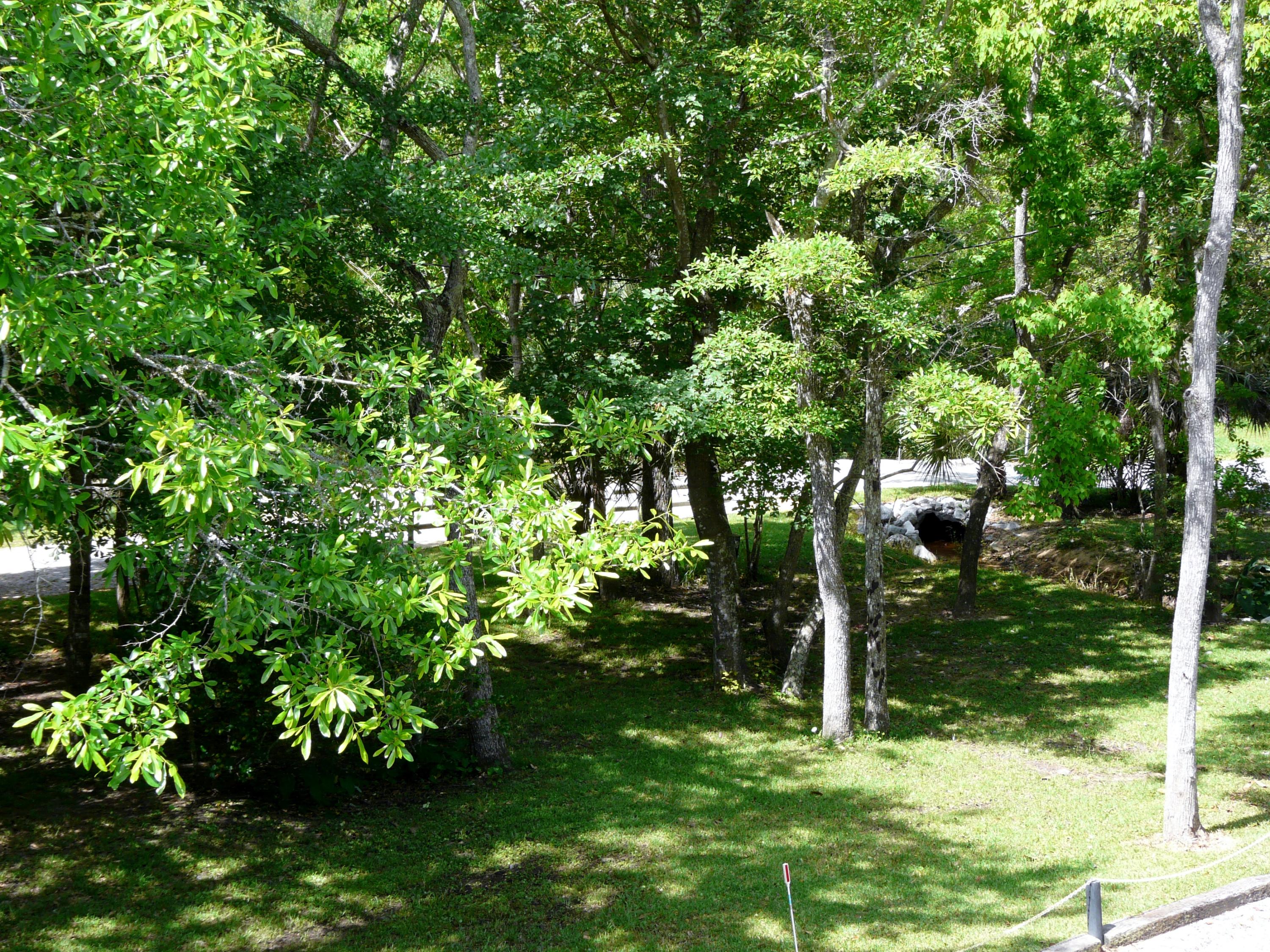 14 6th Street Shalimar, FL 32579 - Photo 14 of 23 a view of a garden