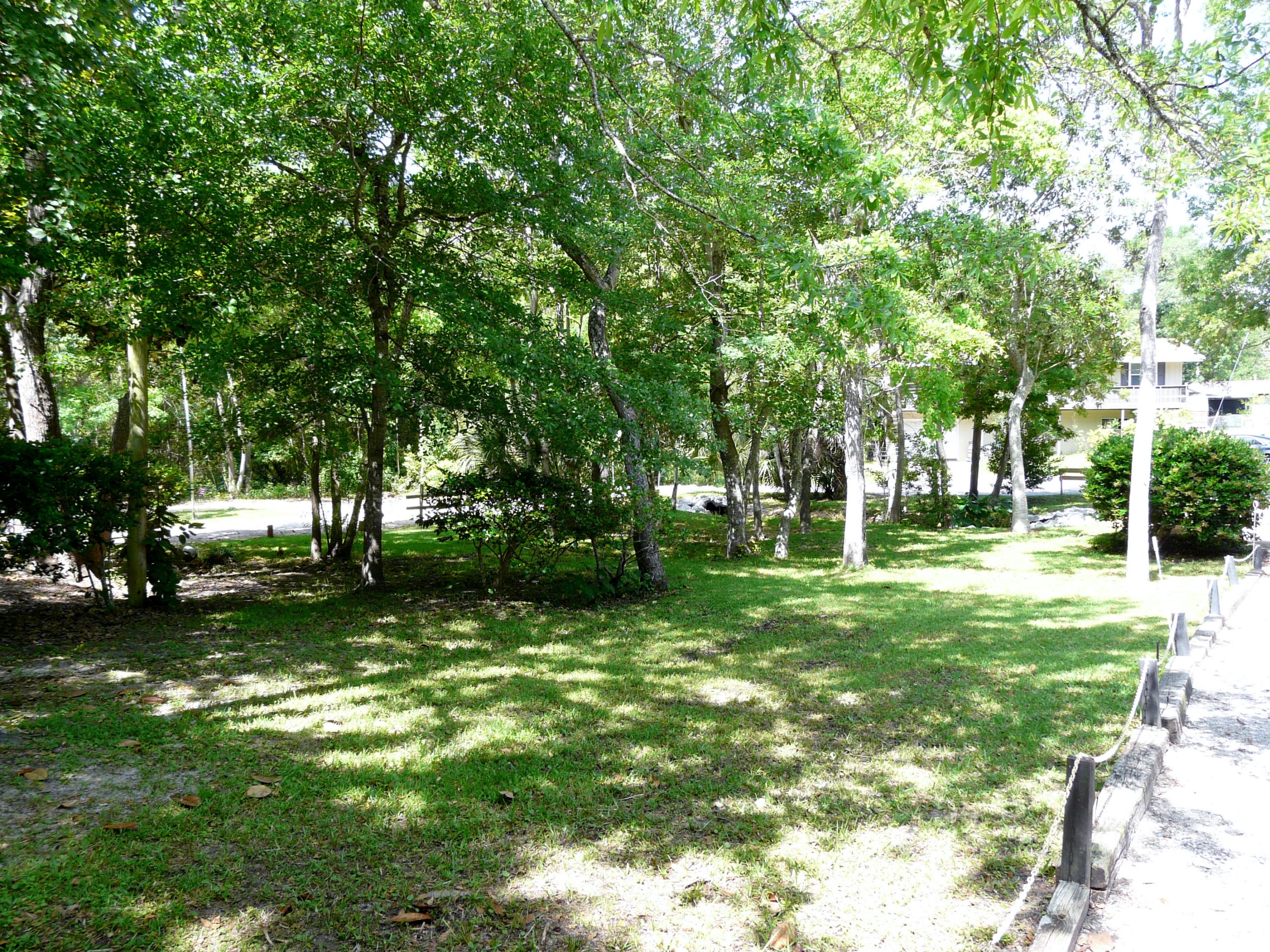 14 6th Street Shalimar, FL 32579 - Photo 10 of 23 a view of a tree in a yard