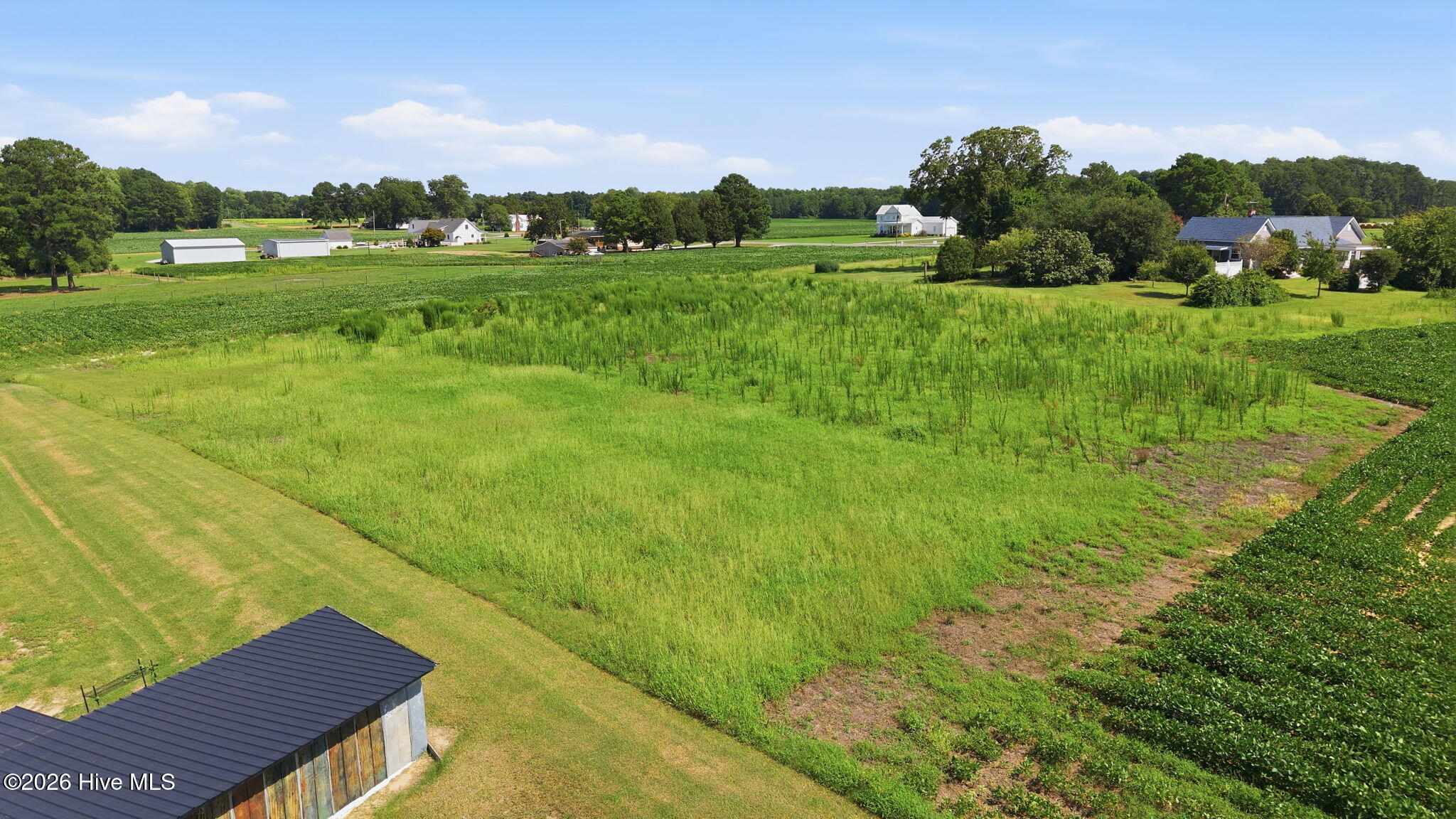7220 Neal Road Lucama, NC 27851 - Photo 70 of 71 Additional 1.4 acre lot behind home