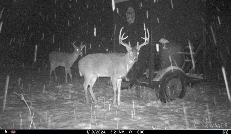 A Enley Road McDermott, OH 45652 - Photo 15 of 97