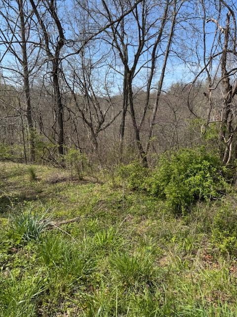 9999 Ember Road Livingston, KY 40445 - Photo 11 of 13 IMG_2850