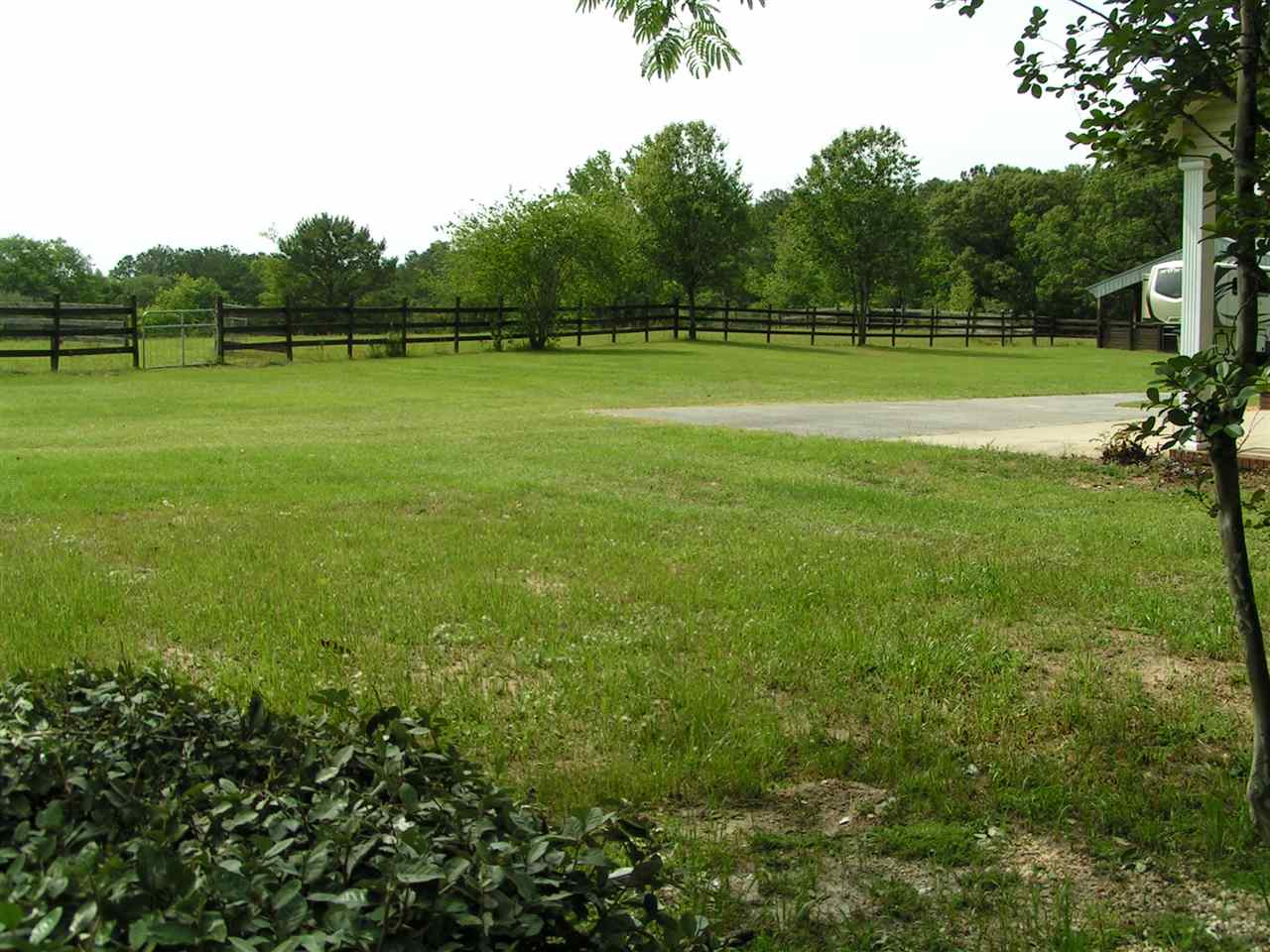 22591 Woodall Mill Road Opp, AL 36467 - Photo 4 of 33 Gallery Image 4