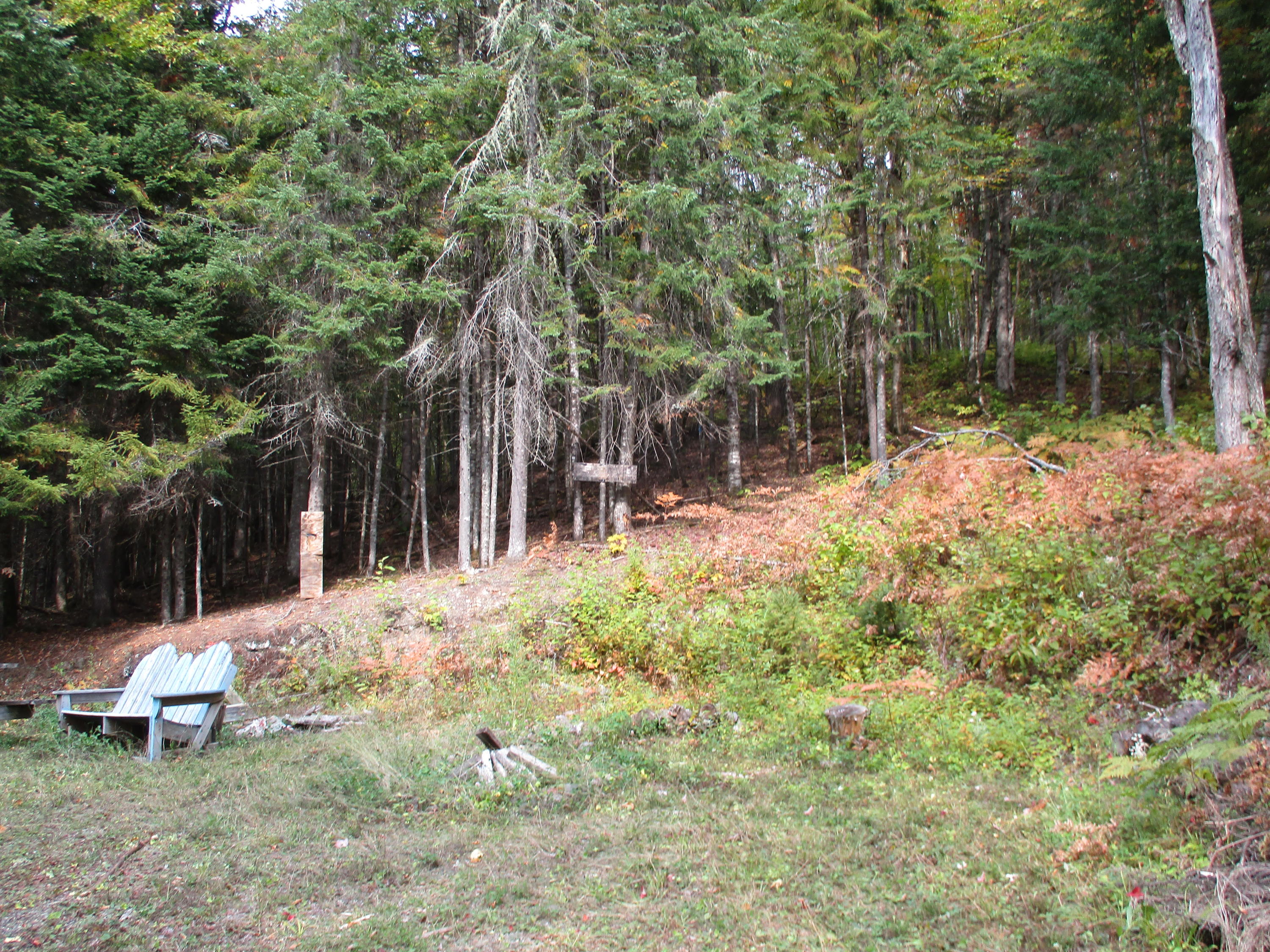 60 Little Black Road St. Francis, ME 04774 - Photo 27 of 35 IMG_1258