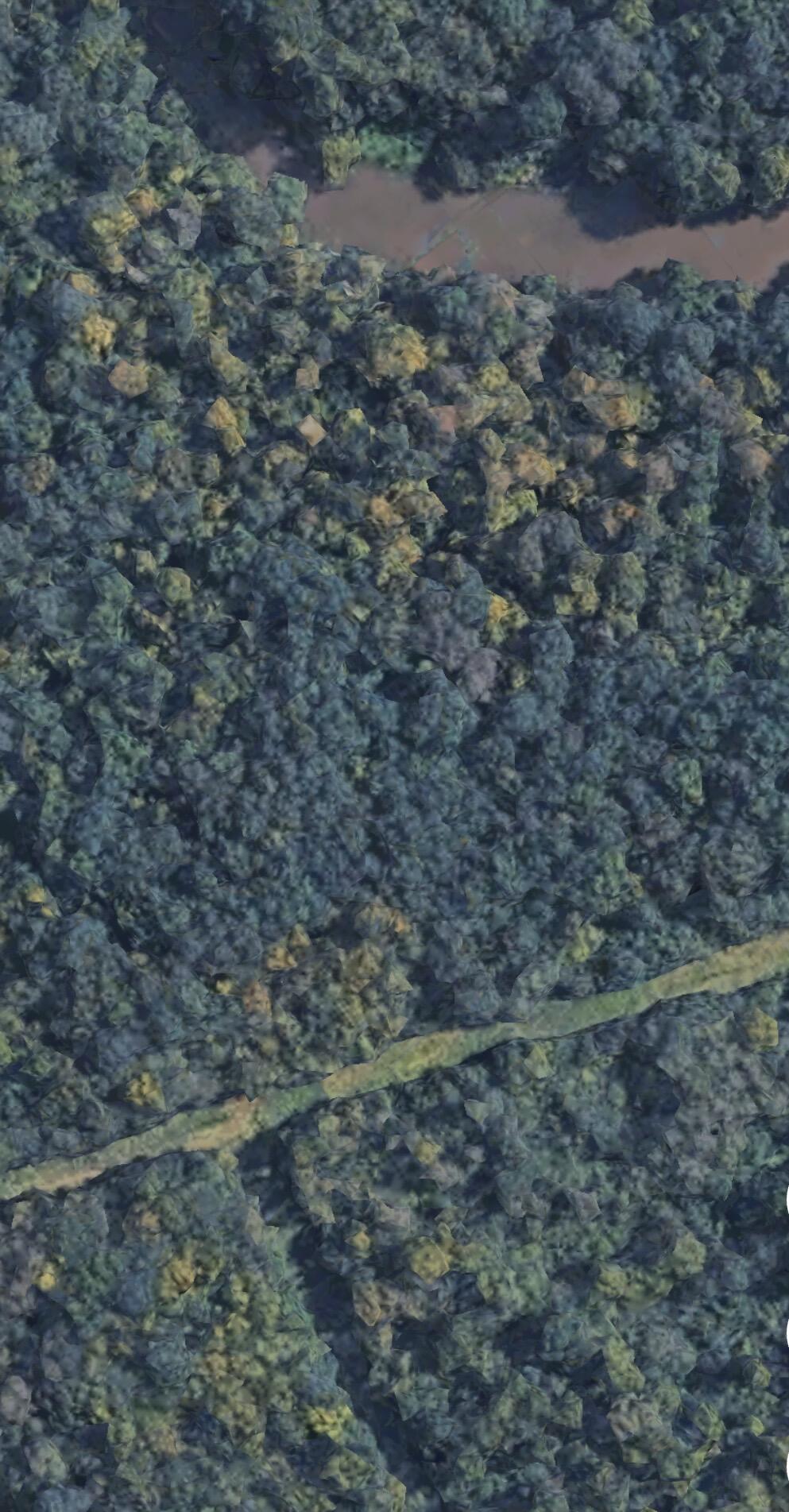 Lot # New Zion Road Falmouth, KY 41040 - Photo 7 of 9