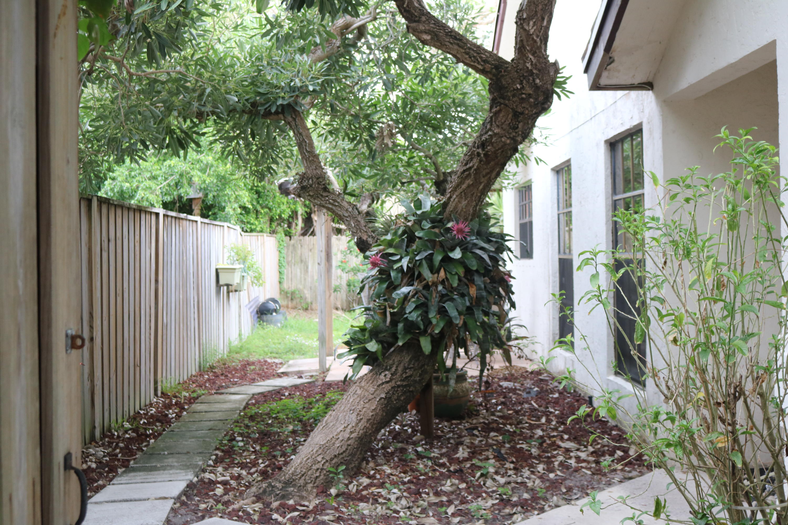 421 Northeast 38th Street Boca Raton, FL 33431 - Photo 2 of 23 IMG_6310