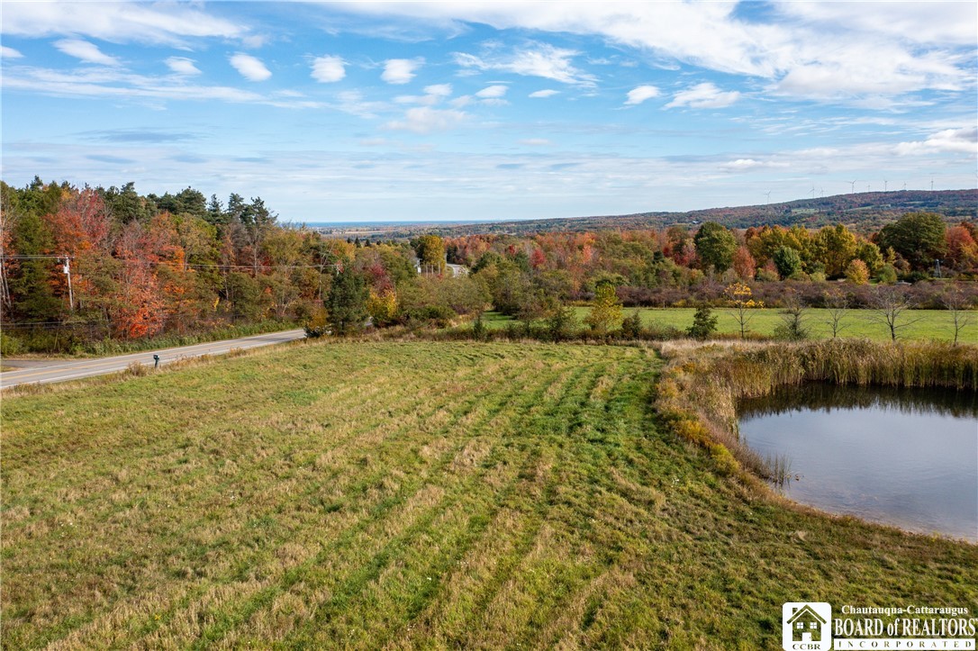 9120 Fredonia Stockton Road Pomfret, NY 14063 - Photo 12 of 23