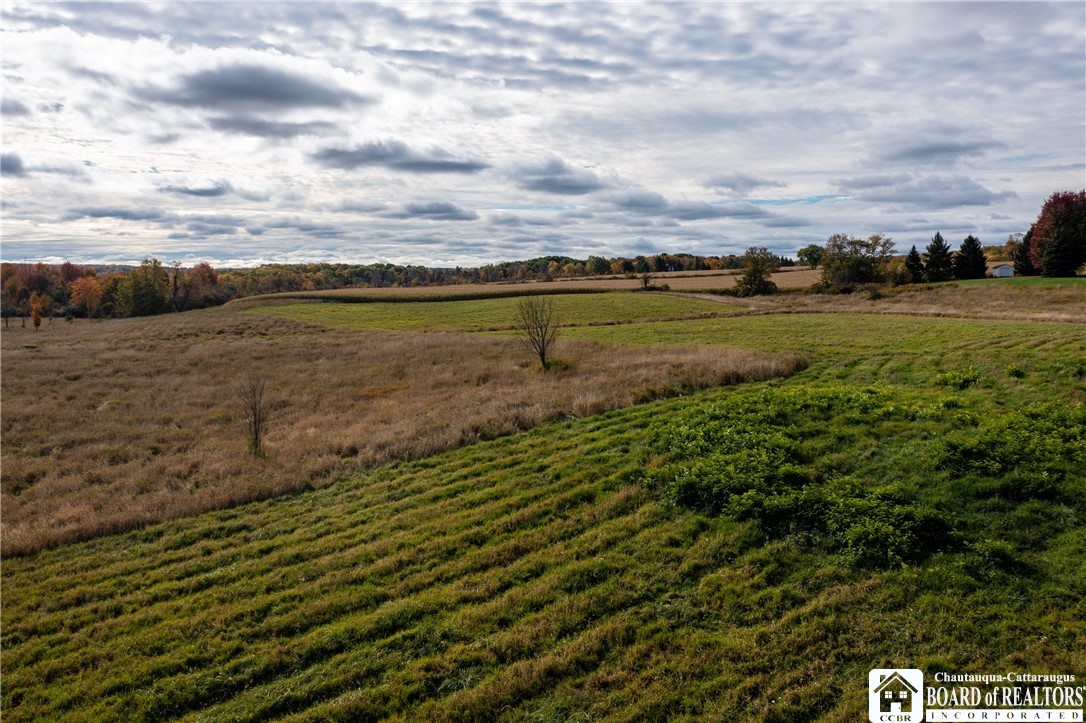 9120 Fredonia Stockton Road Pomfret, NY 14063 - Photo 13 of 23