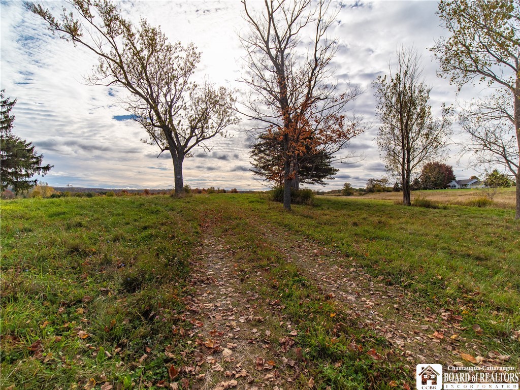 9120 Fredonia Stockton Road Pomfret, NY 14063 - Photo 15 of 23 DRIVE IN TO 18.5 ACRES