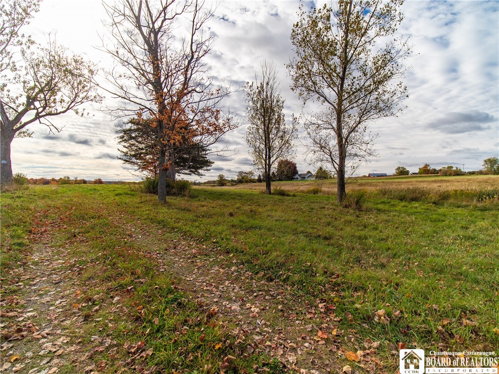 9120 Fredonia Stockton Road Pomfret, NY 14063 - Photo 16 of 23 LANEWAY