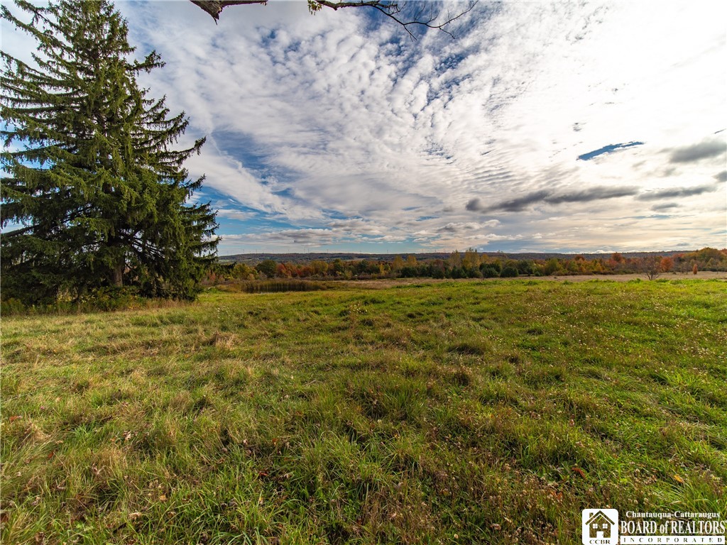 9120 Fredonia Stockton Road Pomfret, NY 14063 - Photo 18 of 23