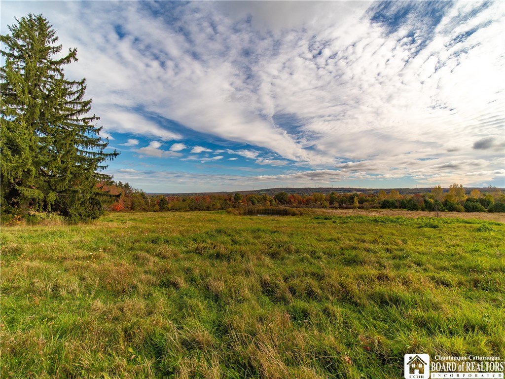 9120 Fredonia Stockton Road Pomfret, NY 14063 - Photo 19 of 23