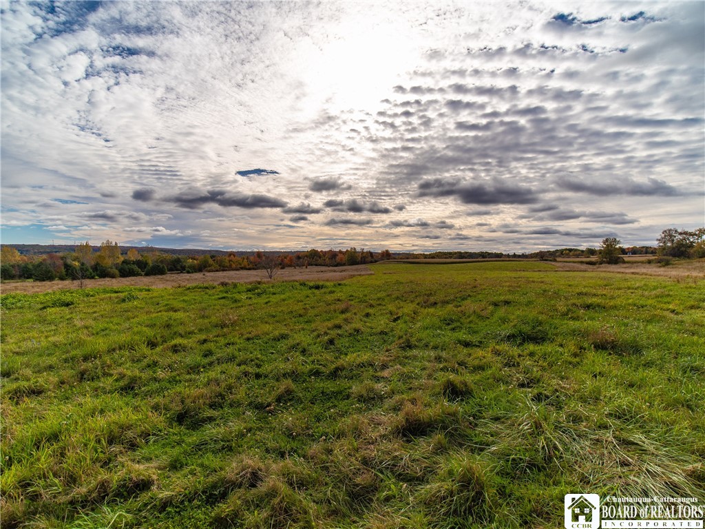 9120 Fredonia Stockton Road Pomfret, NY 14063 - Photo 20 of 23