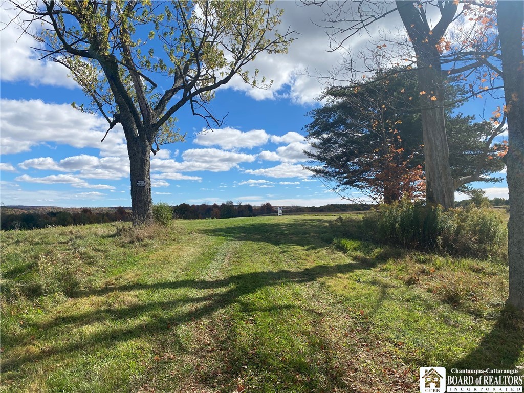 9120 Fredonia Stockton Road Pomfret, NY 14063 - Photo 22 of 23 ENTRANCE TO PROPERTY