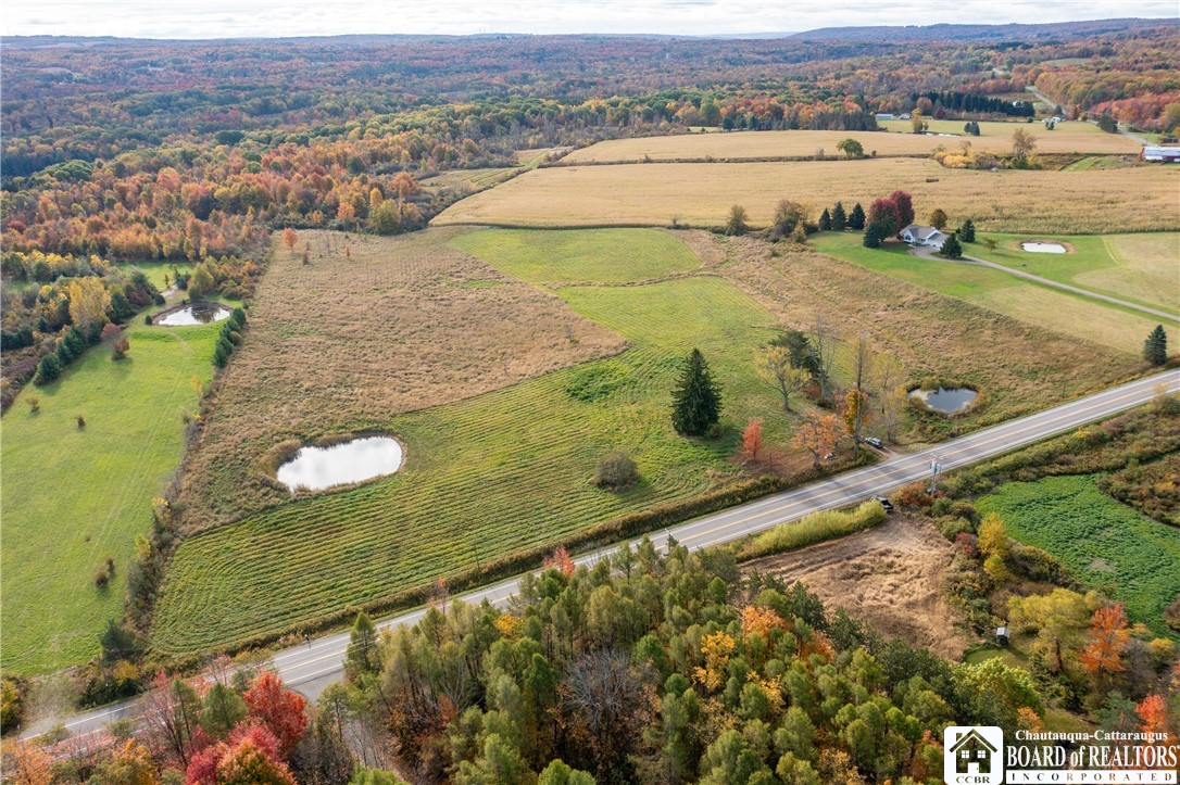 9120 Fredonia Stockton Road Pomfret, NY 14063 - Photo 5 of 23