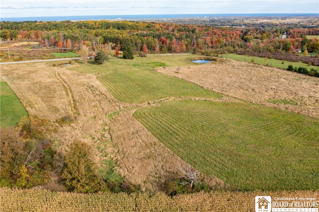 9120 Fredonia Stockton Road Pomfret, NY 14063 - Photo 7 of 23