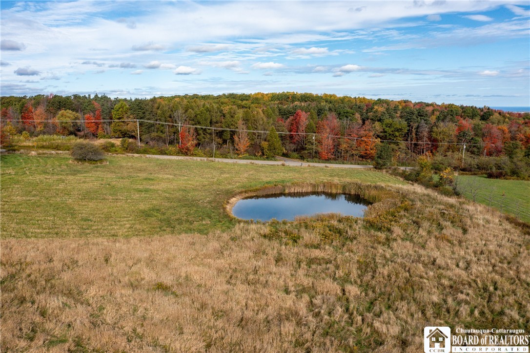 9120 Fredonia Stockton Road Pomfret, NY 14063 - Photo 8 of 23