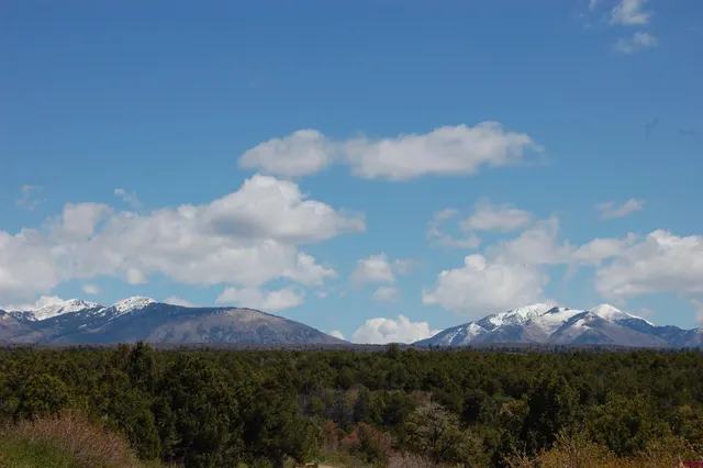 a view of city and a lot of trees
