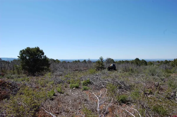 a view of a dry field