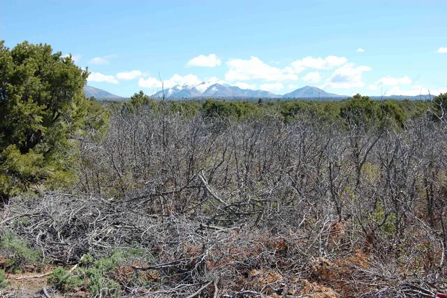 a view of a city with lush green forest