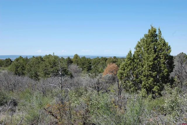 a view of a field of grass and trees