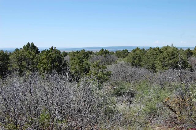 a view of a field of grass and trees