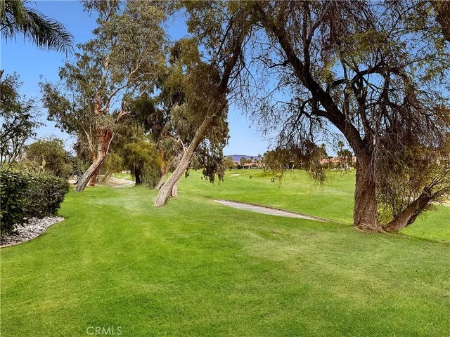 a view of a trees and a yard
