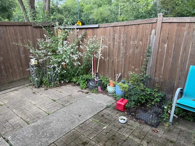 a view of a backyard with potted plants