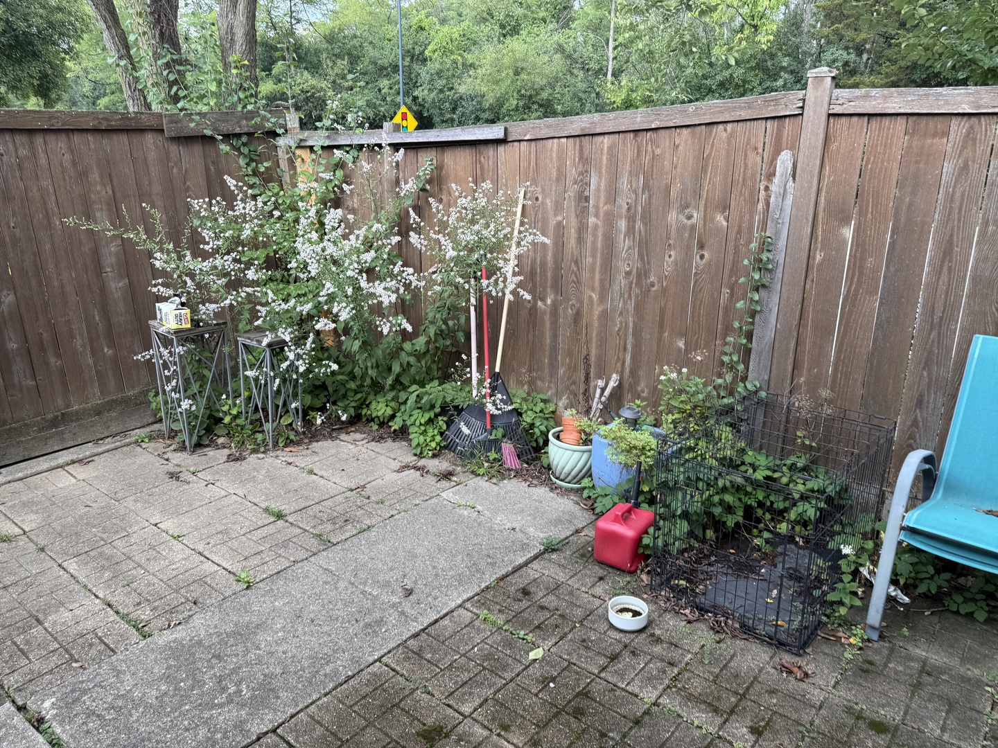 979 Vine Street Winnetka, IL 60093 - Photo 9 of 18 a view of a backyard with potted plants