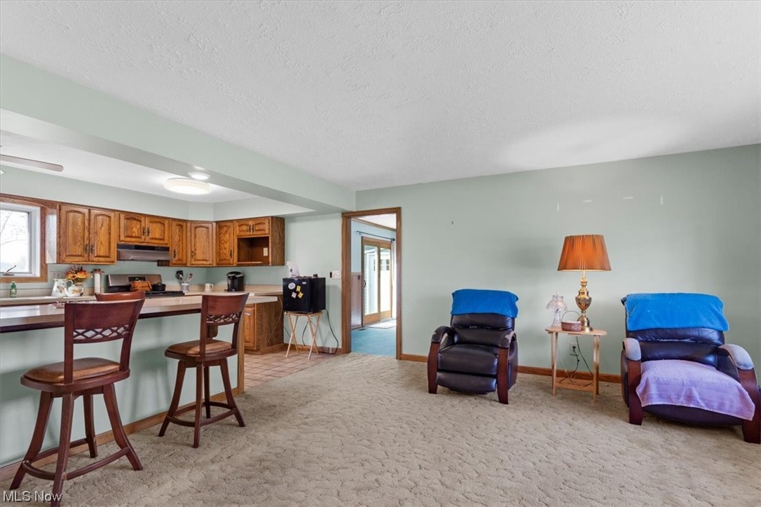 2660 North Ridge Road Painesville, OH 44077 - Photo 12 of 27 Living room/Kitchen