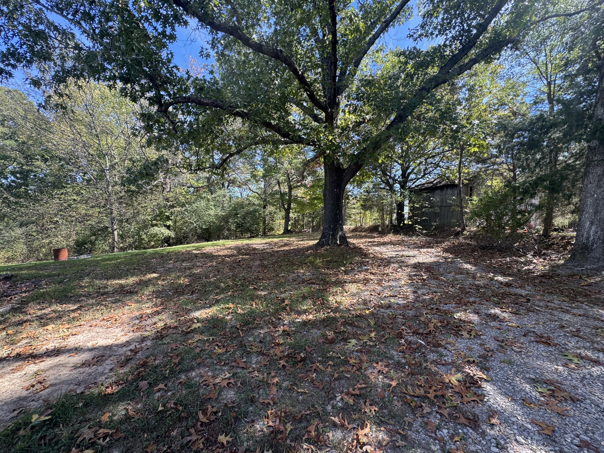 174 Commissary Ridge Road Indian Mound, TN 37079 - Photo 3 of 20 Gallery Image 3