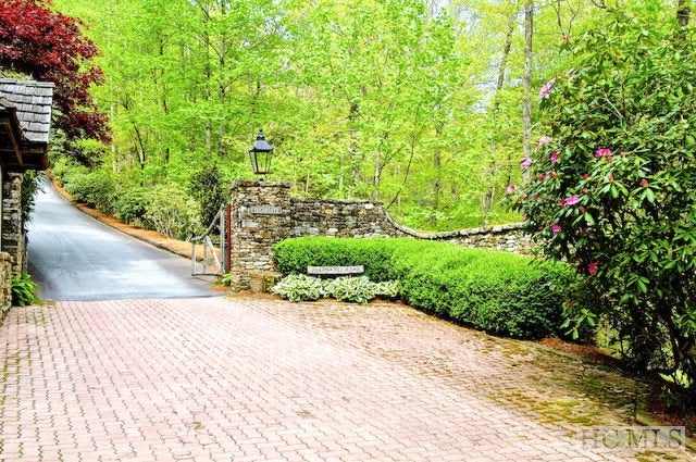 Lot 21 Highgate Road Highlands, NC 28741 - Photo 3 of 16 Gallery Image 3