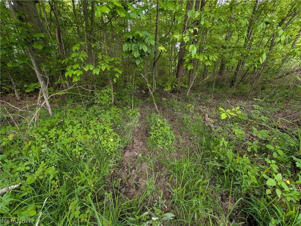 West Western Reserve Road Canfield, OH 44406 - Photo 7 of 15
