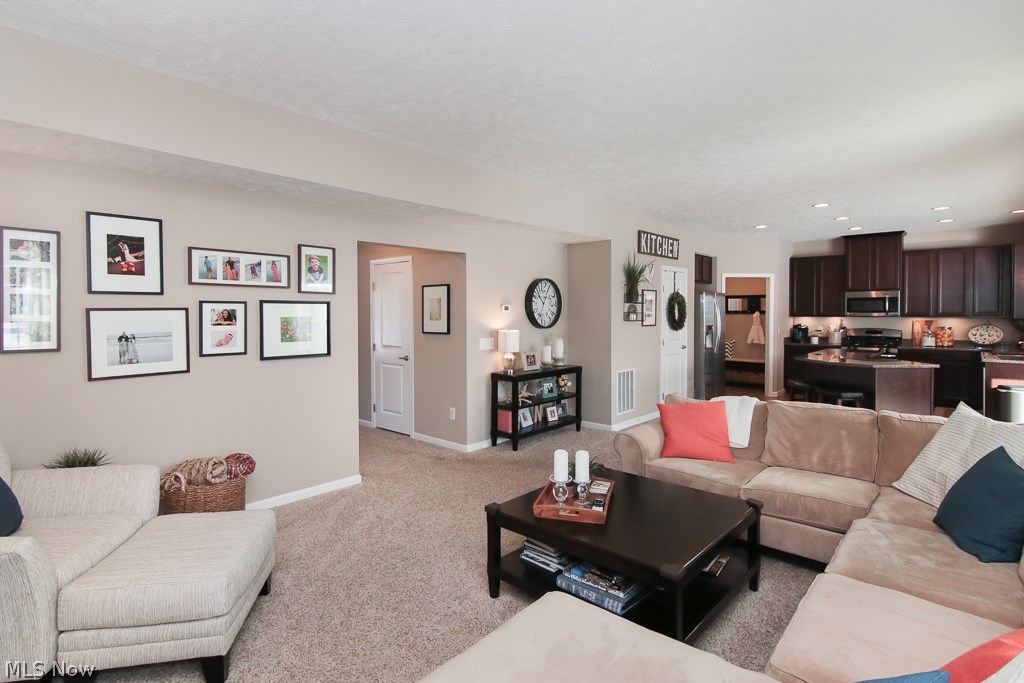 8813 Harvest Ridge Way North Ridgeville, OH 44039 - Photo 15 of 35 Gallery Image 15