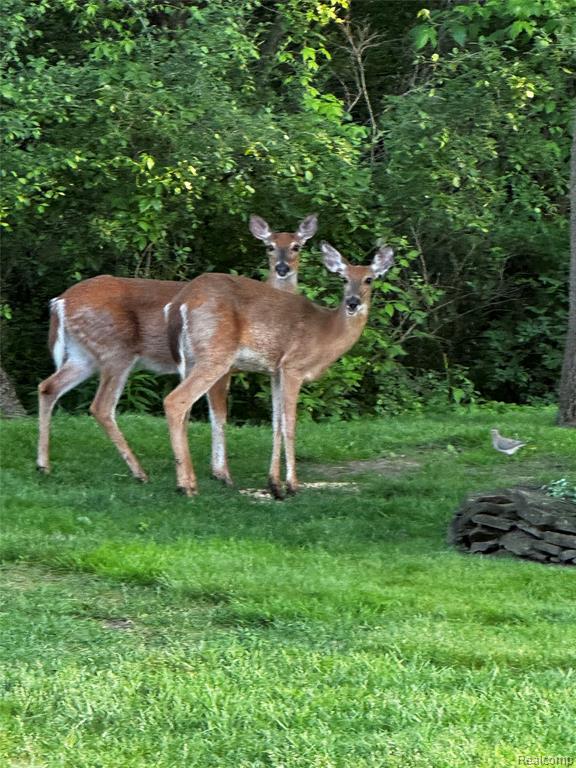 45289 Rudgate Road Canton, MI 48188 - Photo 6 of 16 Gallery Image 6