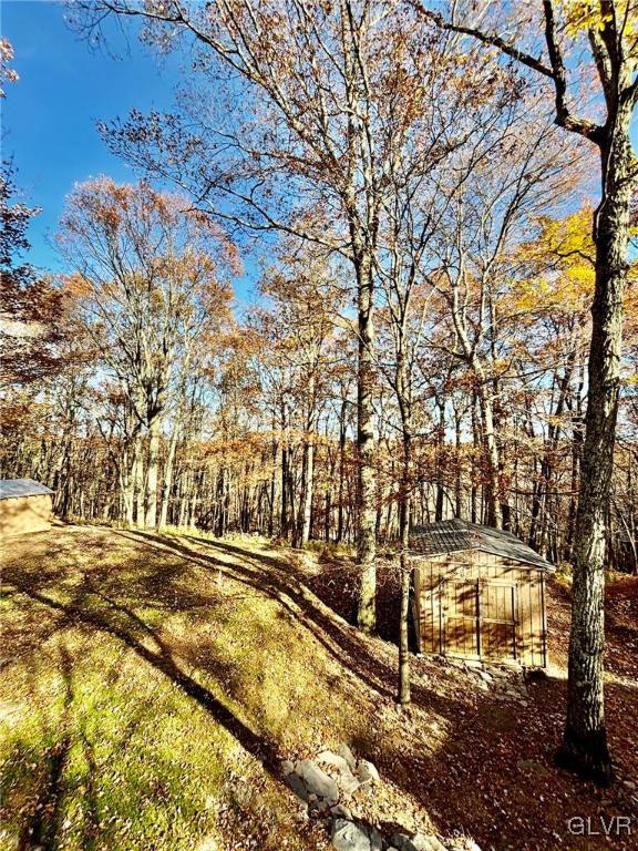 4340 Pne Rdg Drive Bushkill, PA 18324 - Photo 20 of 22 Gallery Image 20