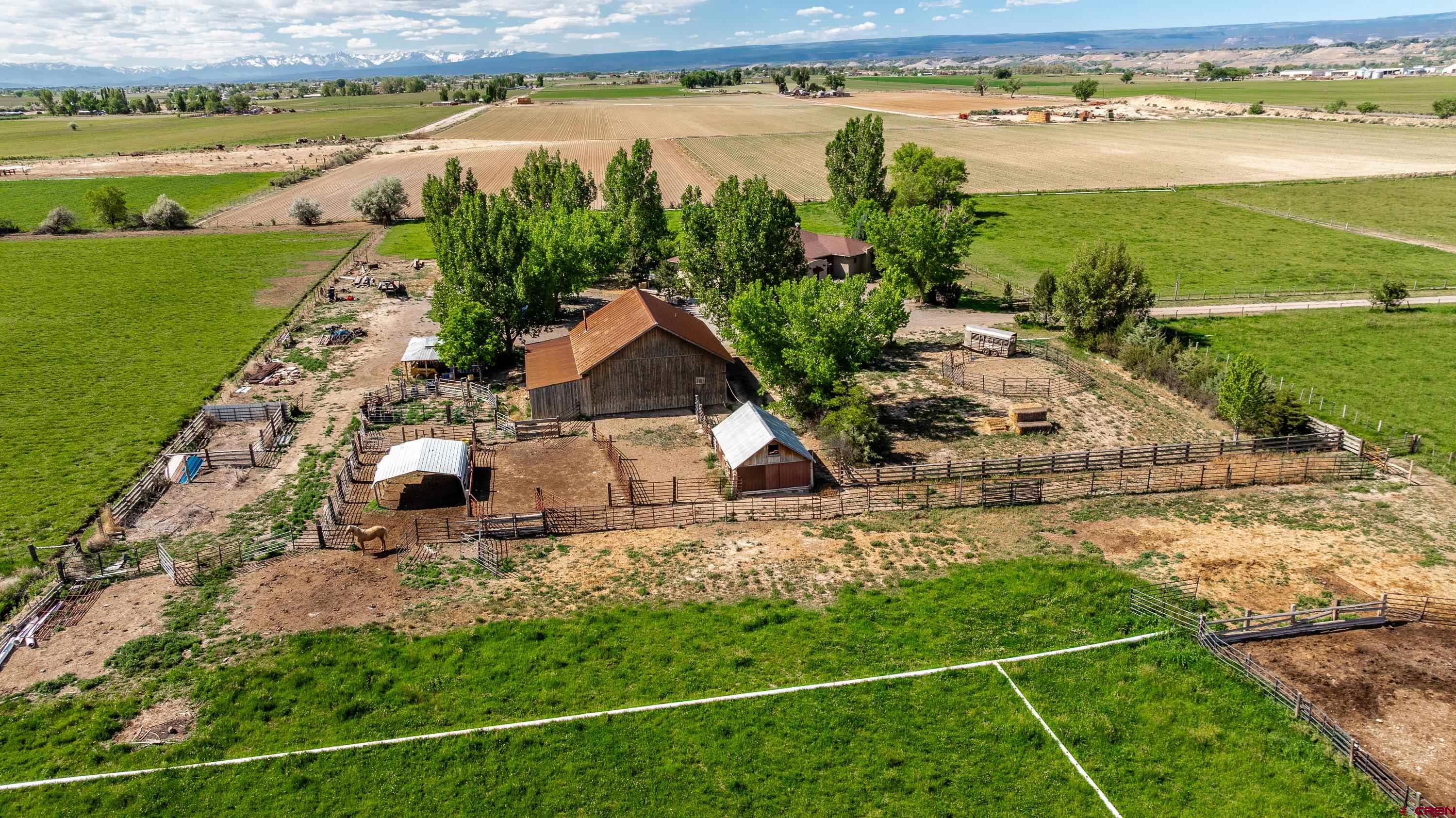 5184 6000th Road Olathe, CO 81425 - Photo 43 of 44