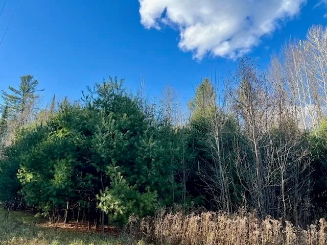 $74,900 | Barker Road, Amberg, WI 54102