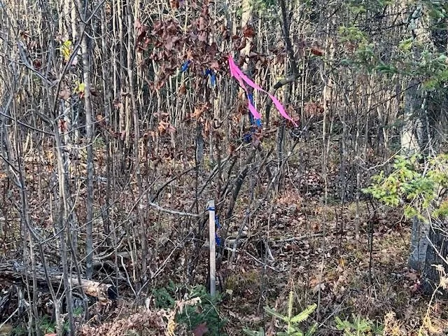 $74,900 | Barker Road, Amberg, WI 54102