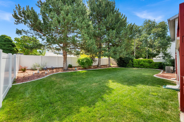8029 Angel Street Sandy, UT 84070 - Photo 20 of 21 Expansive lawn area featuring a decorative stone border, mature pine trees, and established perimeter shrubbery