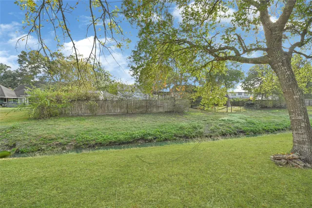 a view of a garden with a tree
