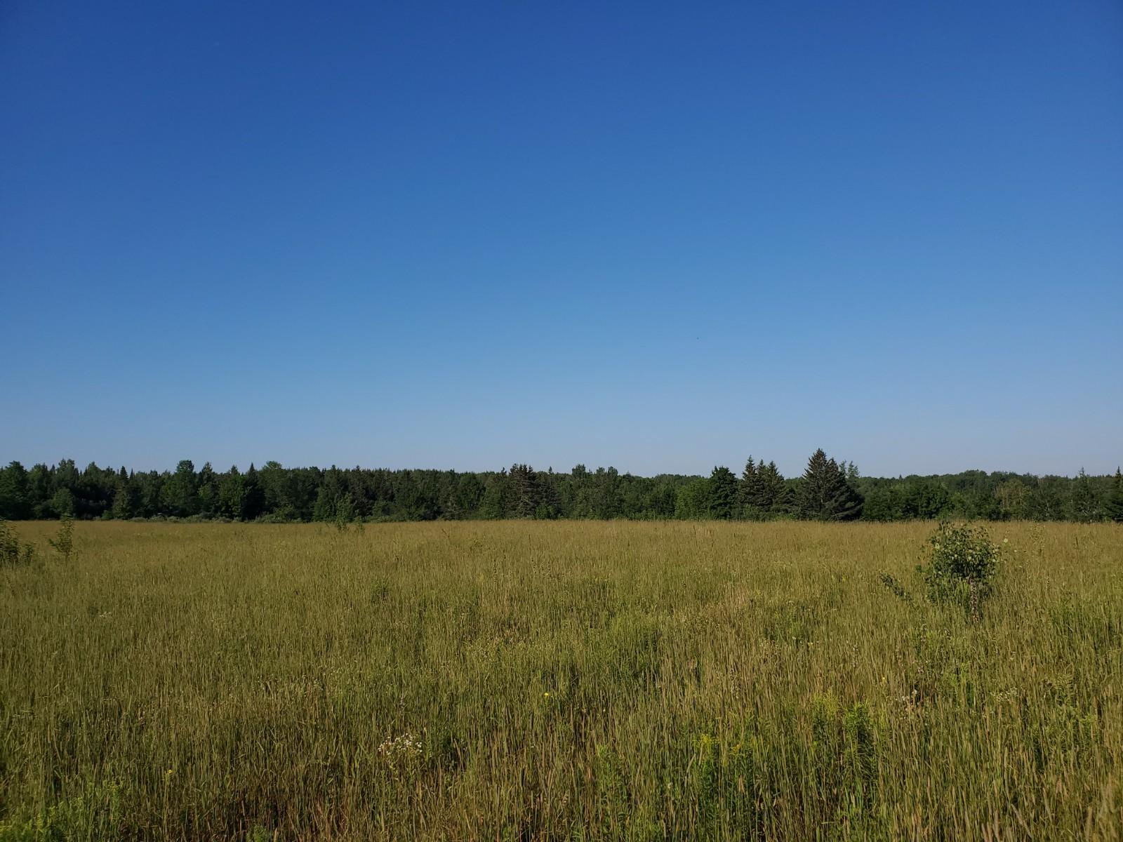 221 West Ridge Road Littleton, ME 04730 - Photo 6 of 10 20200729_074655