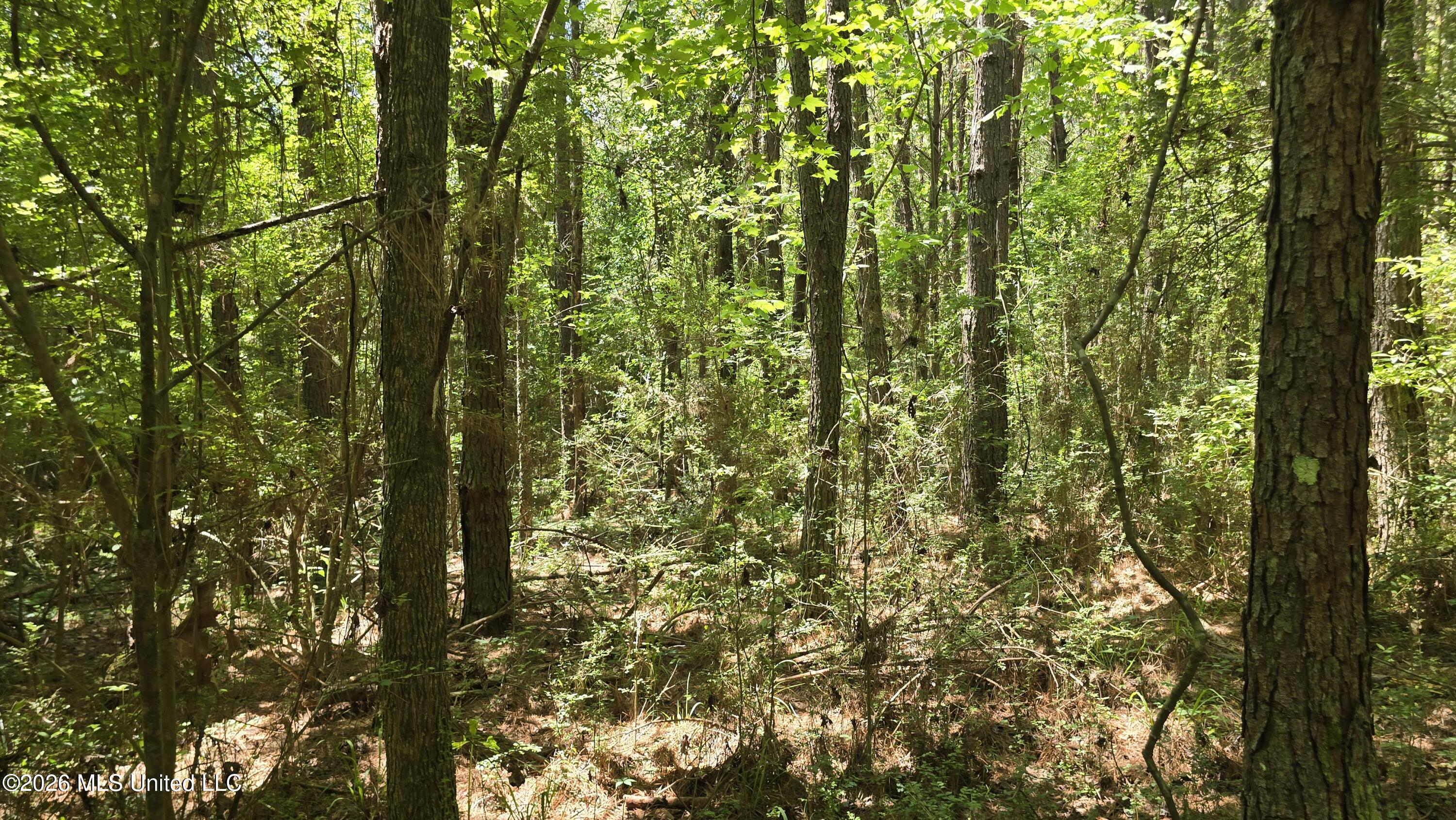189 Co Road Bay Springs, MS 39422 - Photo 39 of 61 20260513_120732