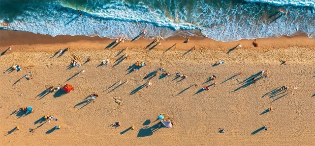 a view of yard with a tree