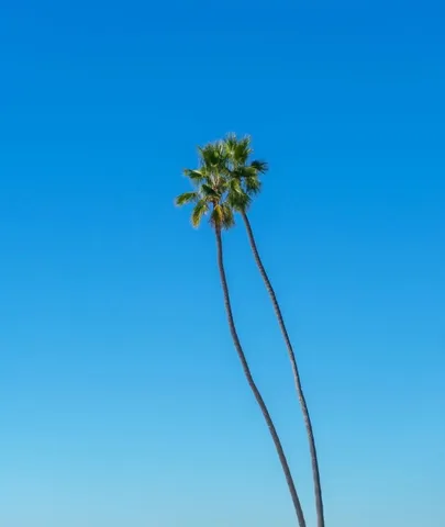 $3,499,000 | 217 Vista Marina, San Clemente, CA 92672