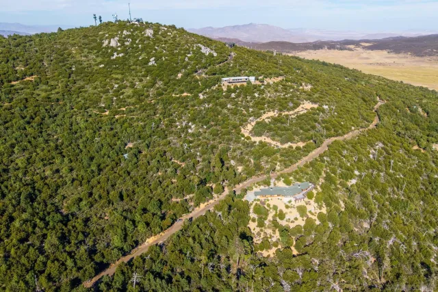 a view of a lush green hillside and a mountain