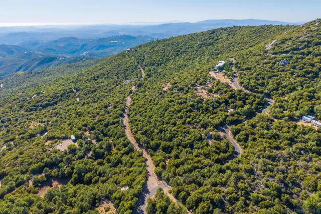 view of a green field with lots of bushes