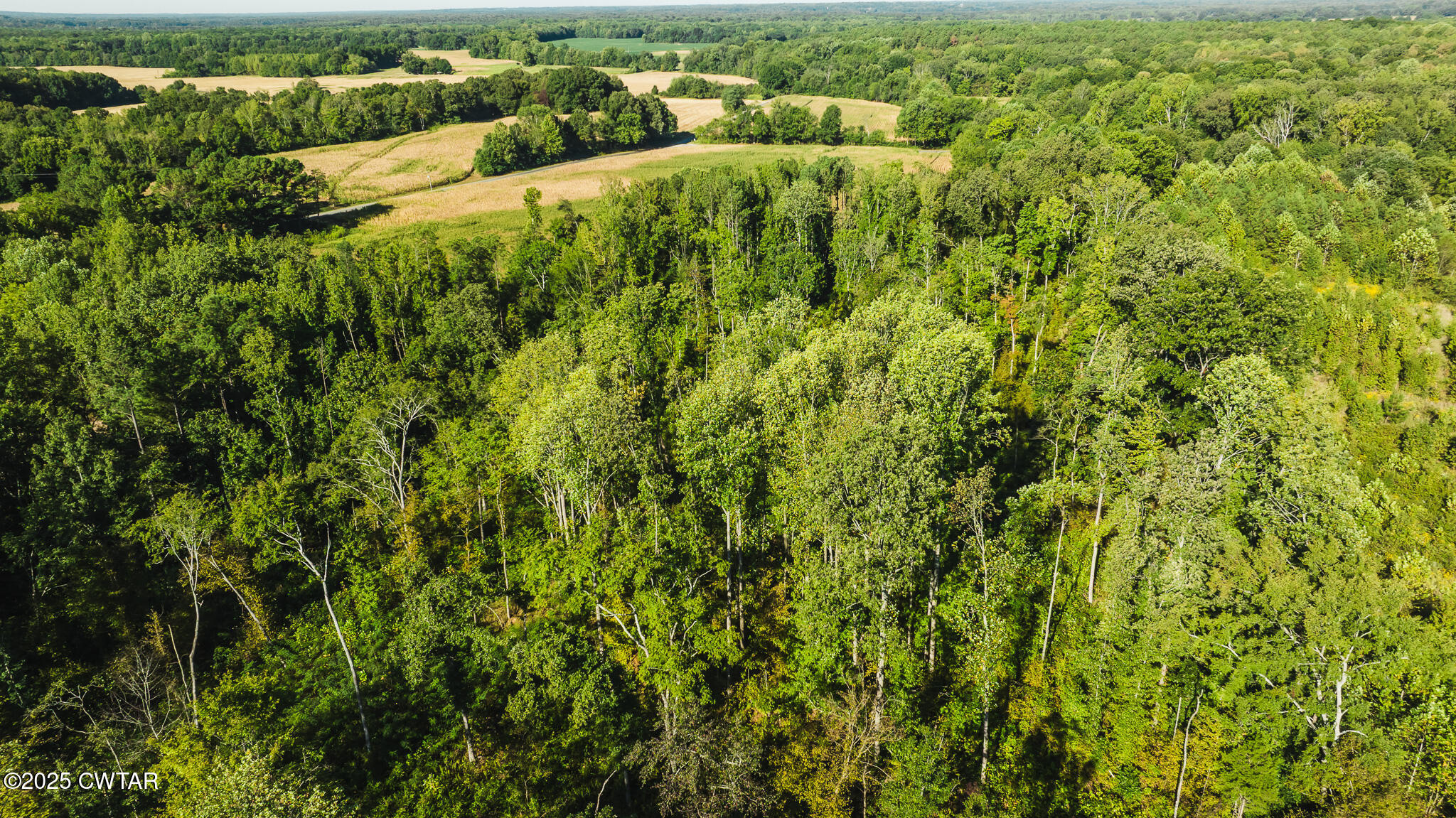 4201 Austin Springs Road Dukedom, TN 38226 - Photo 9 of 12 DJI_20250908090154_0022_D