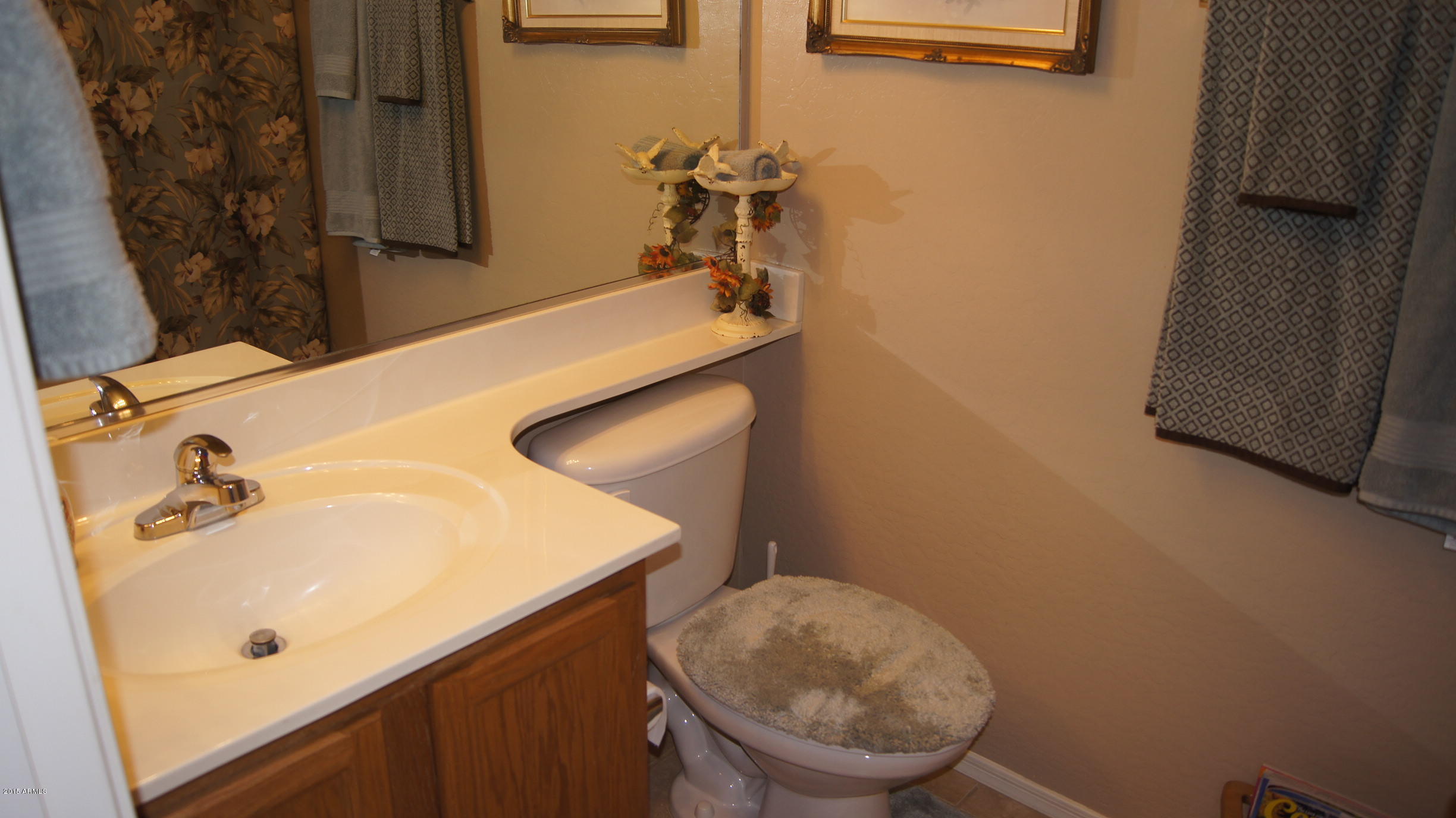 44826 Portabello Road Maricopa, AZ 85139 - Photo 12 of 21 Guest Bath